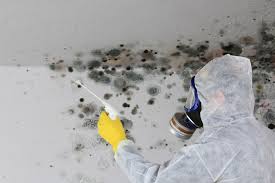 Best Environmental Consulting for Mold Prevention  in Amarillo, TX